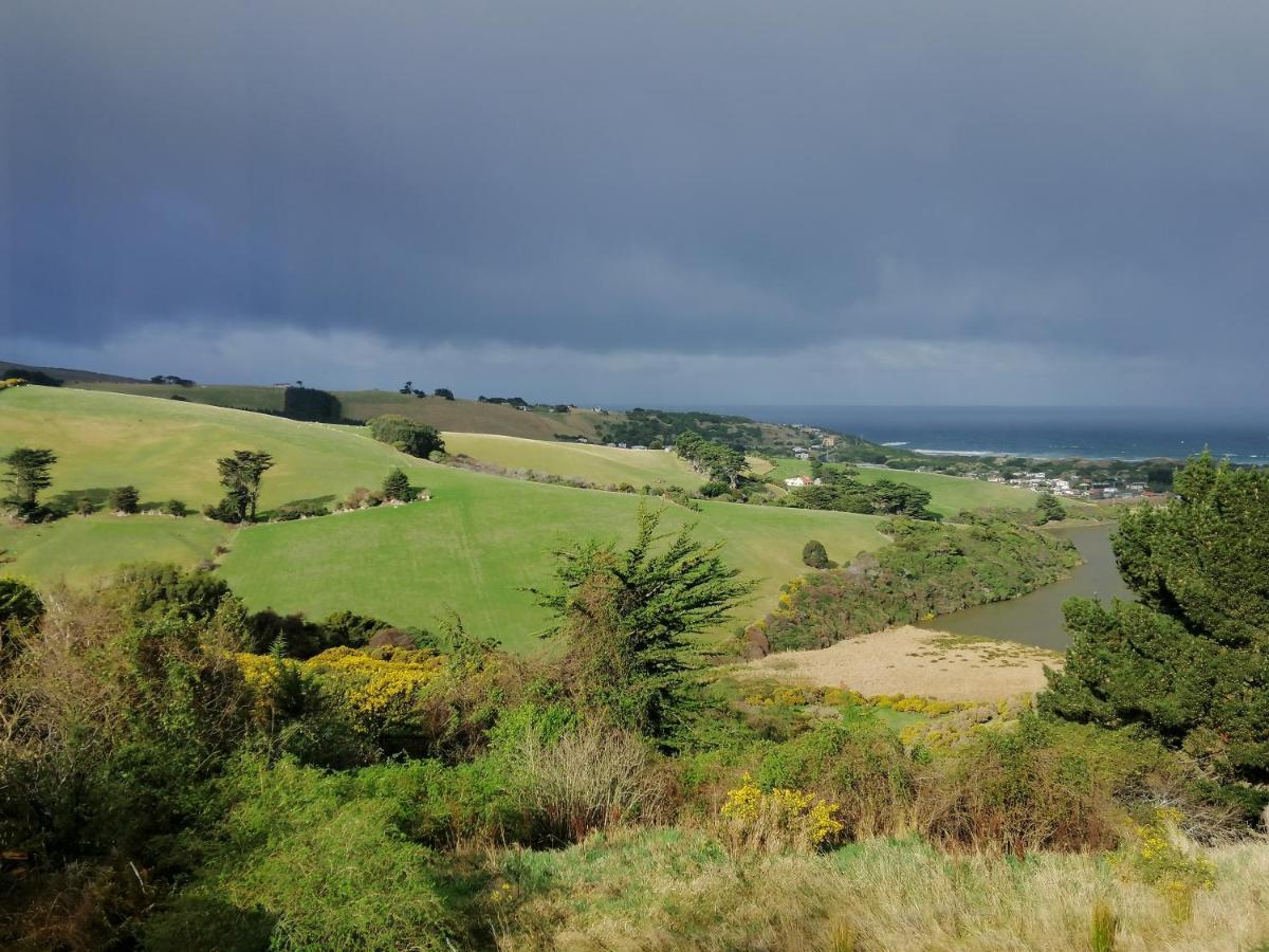 Gateway To Peninsula With Sea Views Lägenhet Dunedin Exteriör bild
